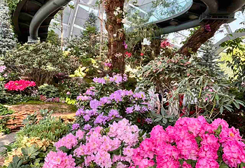 上海植物园第 44 张图片