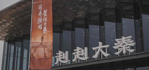 赳赳大秦第 167 张图片