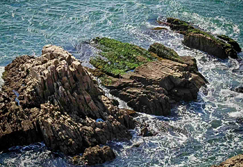 老铁山黄渤海分界线第 26 张图片