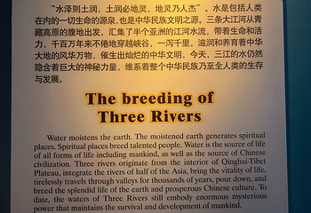 青海藏文化博物院第 142 张图片