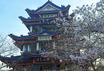 无锡市太湖鼋头渚风景区第 167 张图片