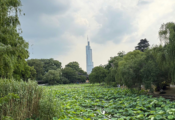 玄武湖景区第 88 张图片