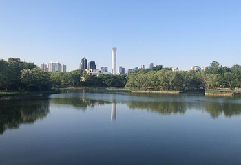朝阳公园第 184 张图片
