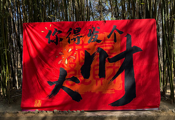 蝴蝶泉第 14 张图片