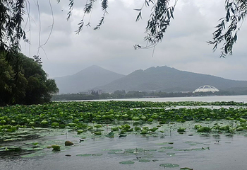 玄武湖景区第 117 张图片