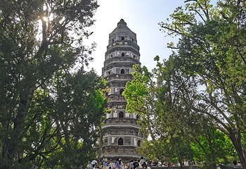 虎丘山风景名胜区第 219 张图片
