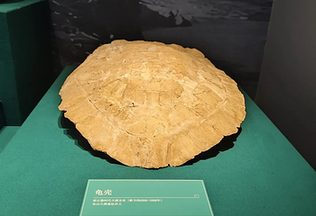 三峡博物馆第 95 张图片