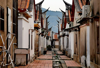 埭美古村第 73 张图片