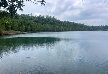 湖光岩风景区第 51 张图片