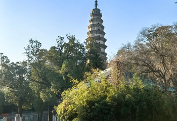 灵岩寺第 82 张图片