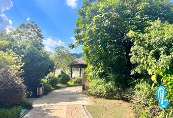 凤翔首邑温泉第 26 张图片