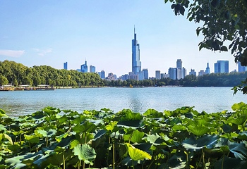 玄武湖景区第 90 张图片