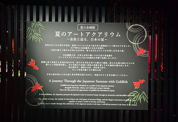 银座艺术水族馆美术馆第 47 张图片