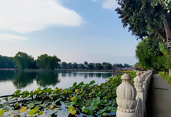 什刹海风景区第 255 张图片