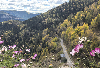 芦芽山旅游度假区第 104 张图片