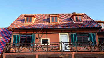 蔡甸花博汇问茶村