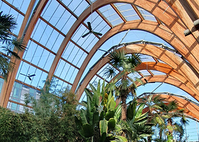 谢菲尔德冬季花园