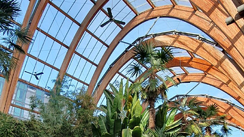 谢菲尔德冬季花园