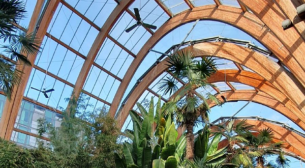 谢菲尔德冬季花园