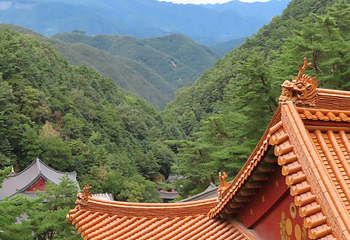 救仁寺第 4 张图片