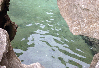 Tangke Saltwater Lagoon第 11 张图片