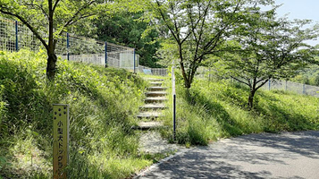 松山総合公園ドッグラン