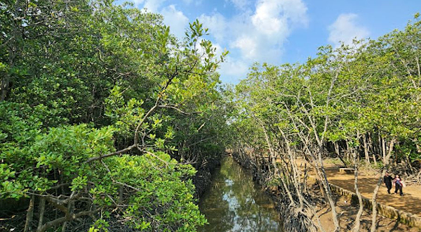 Tourism Rung Sac Can Gio