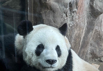 北京动物园第 54 张图片