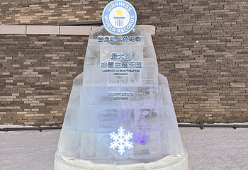 哈尔滨冰雪大世界第 978 张图片