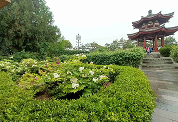 大雁塔第 145 张图片