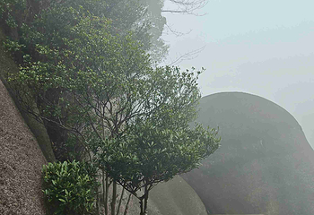 太姥山第 84 张图片