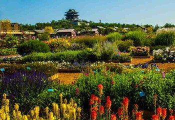 北京世园国际旅游度假区第 89 张图片