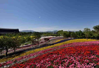 北京世园国际旅游度假区第 85 张图片