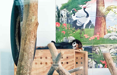 西安秦岭野生动物园第 79 张图片