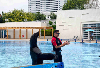 三亚亚特兰蒂斯失落的空间水族馆第 117 张图片
