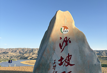 沙坡头第 302 张图片