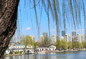 莫愁湖公园第 39 张图片