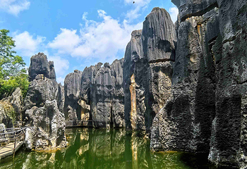 石林风景区第 144 张图片