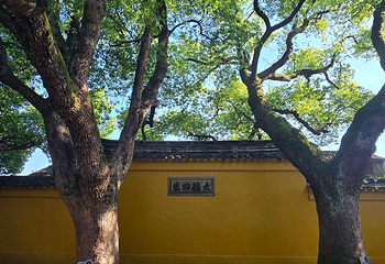 西园寺第 32 张图片
