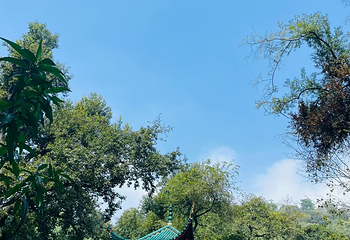 岳麓山第 27 张图片
