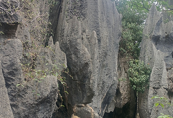 石林风景区第 256 张图片