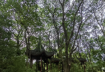 鲁迅公园第 65 张图片
