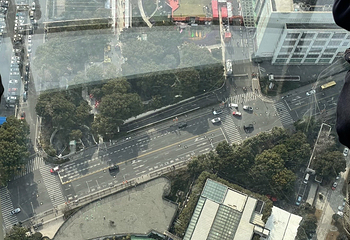 东方明珠第 274 张图片