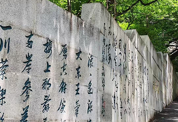 北山公园第 22 张图片