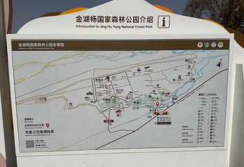 金湖杨国家森林公园第 29 张图片