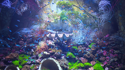 三亚亚特兰蒂斯失落的空间水族馆第 206 张图片