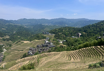 龙脊梯田第 125 张图片
