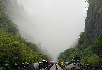 天门山国家森林公园第 679 张图片