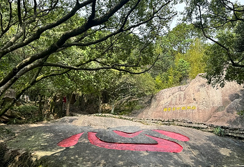 普陀山风景区第 271 张图片