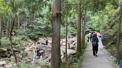 大龙湫景区第 39 张图片